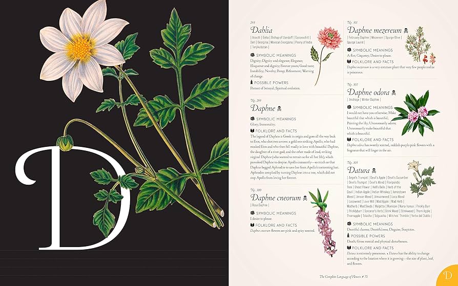 The Complete Language of Flowers: A Definitive and